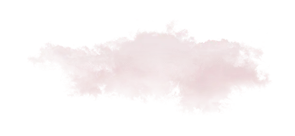 cloud211 conception web